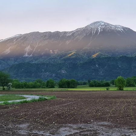 Guesthouse Osvald Zirovnica Dış mekan fotoğraf