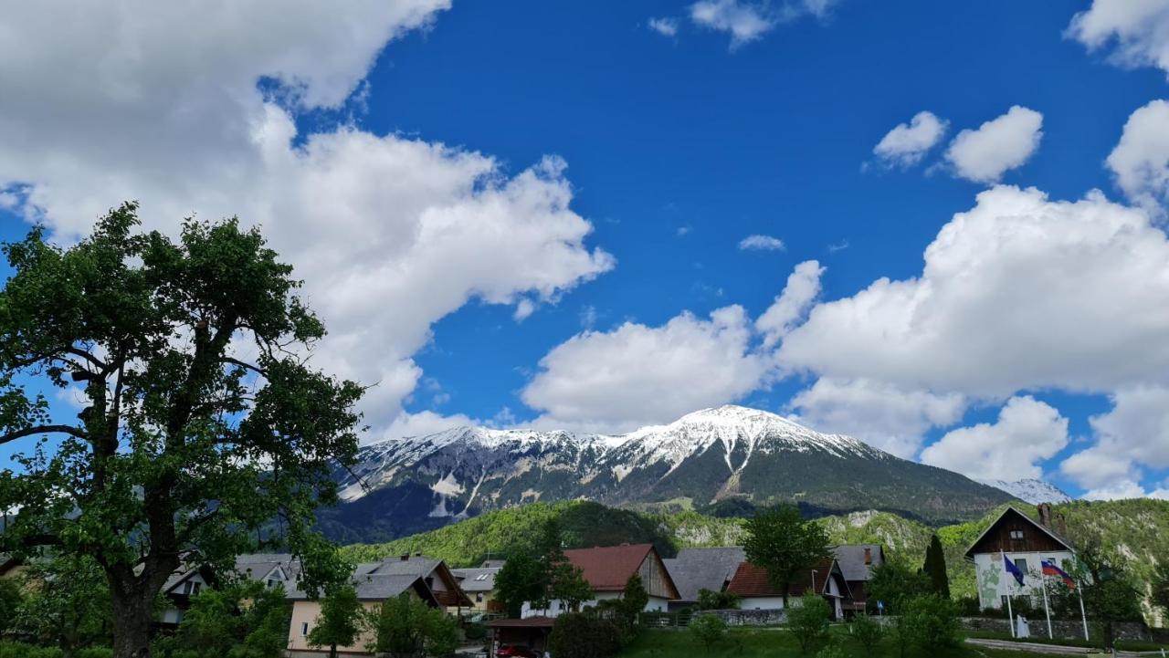 Guesthouse Osvald Zirovnica Dış mekan fotoğraf