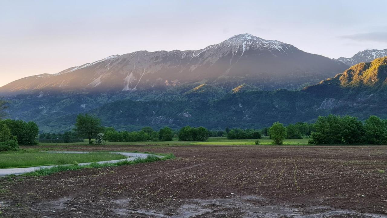 Guesthouse Osvald Zirovnica Dış mekan fotoğraf